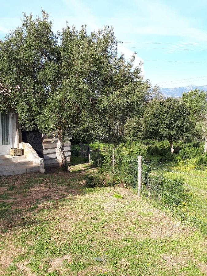 Casa Gattu Villa Porto-Vecchio  Exteriör bild
