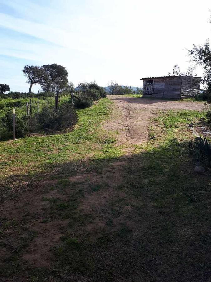 Casa Gattu Villa Porto-Vecchio  Exteriör bild