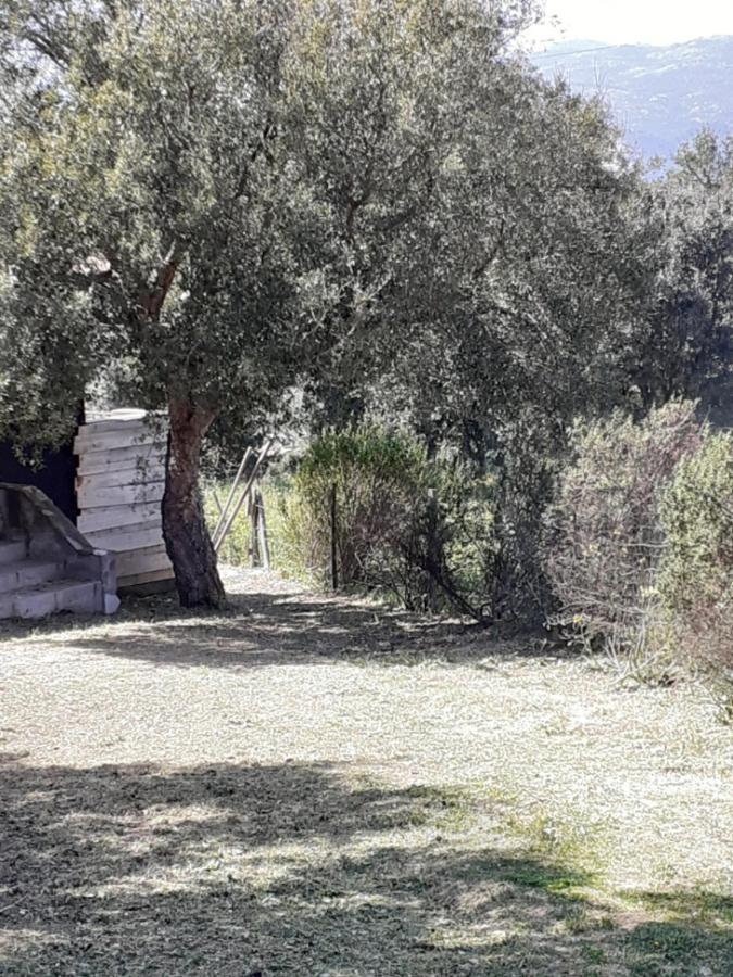 Casa Gattu Villa Porto-Vecchio  Exteriör bild