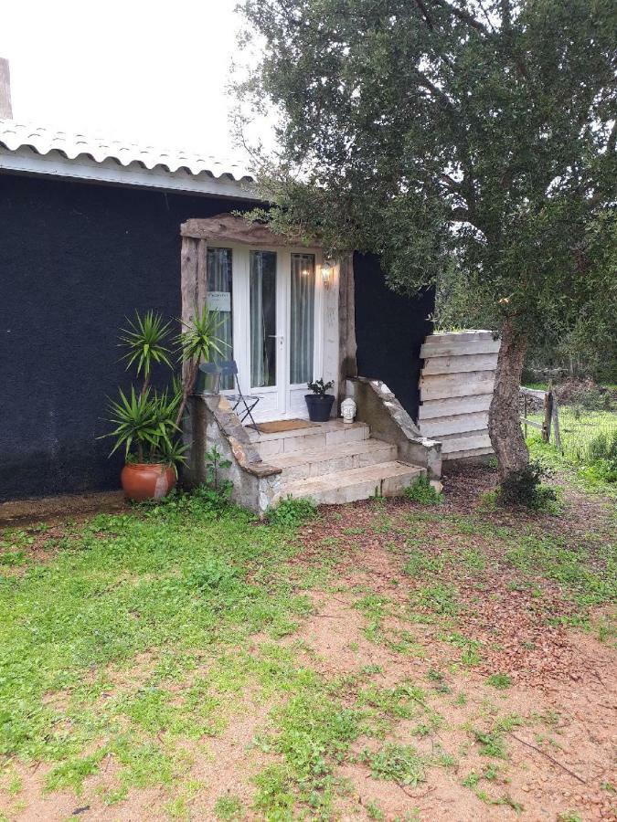 Casa Gattu Villa Porto-Vecchio  Exteriör bild