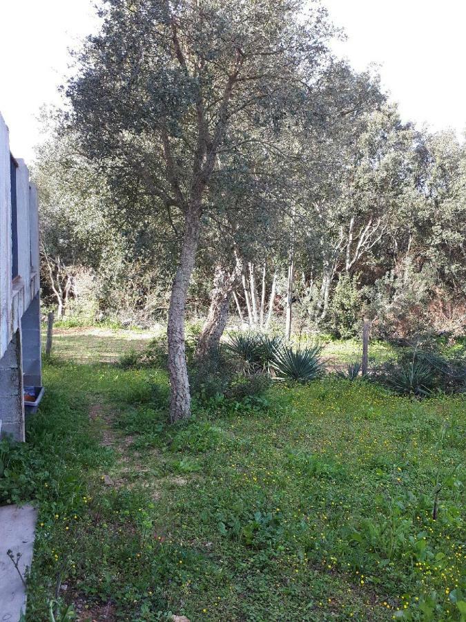 Casa Gattu Villa Porto-Vecchio  Exteriör bild