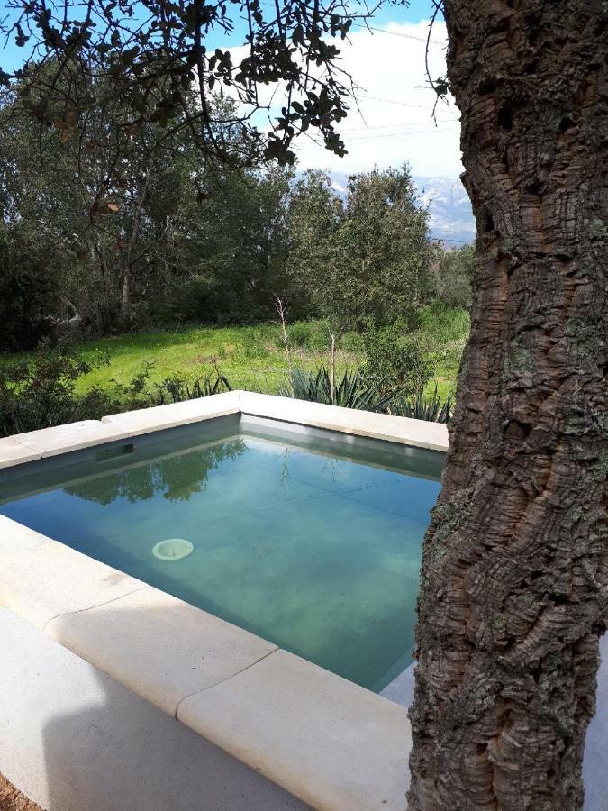 Casa Gattu Villa Porto-Vecchio  Exteriör bild
